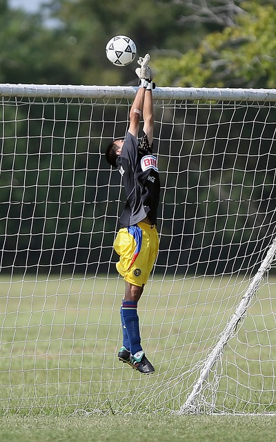 市场号召力 市场号召力