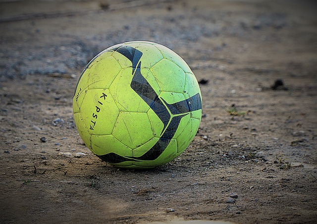 成的自发力 成的自发力