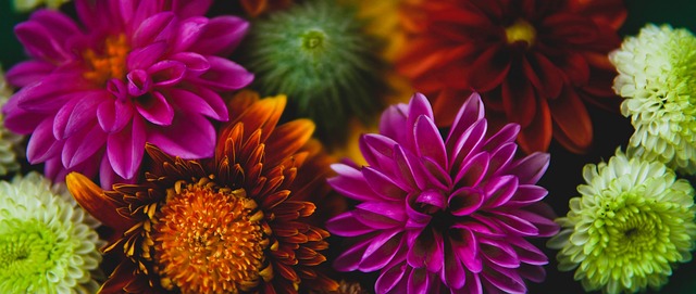 屆評選都備 屆評選都備