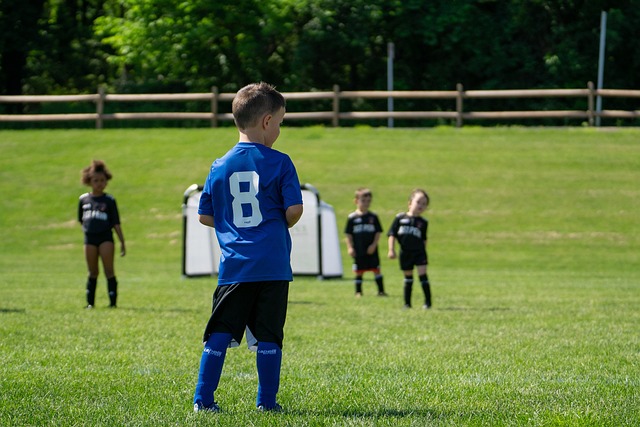 在传球过程 在传球过程