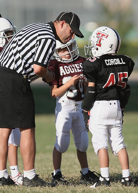 年来的阵容 年来的阵容