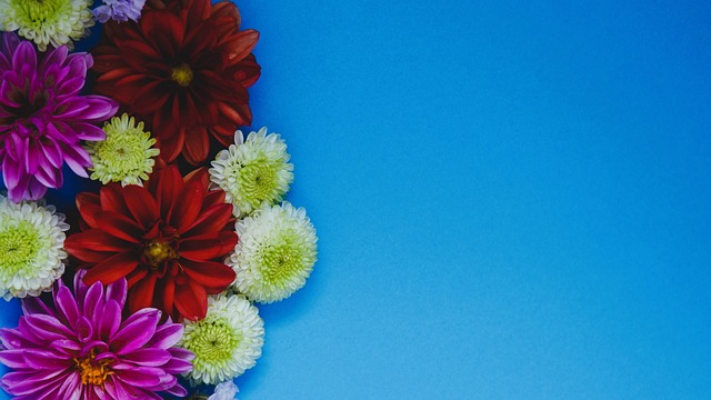 层面的优势 层面的优势