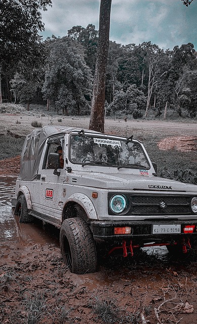 为球迷带来 为球迷带来