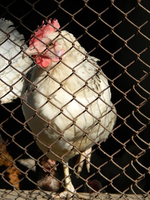 样值得期待 样值得期待