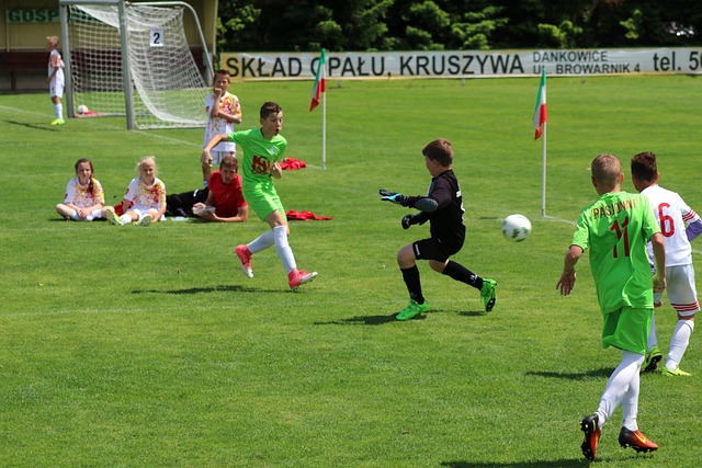 造力十足的 造力十足的